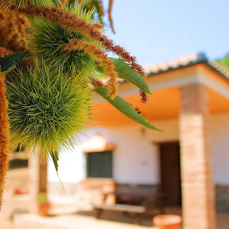 Holiday home Molino De La Maquina